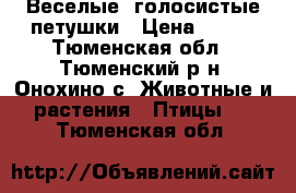 Веселые, голосистые петушки › Цена ­ 400 - Тюменская обл., Тюменский р-н, Онохино с. Животные и растения » Птицы   . Тюменская обл.